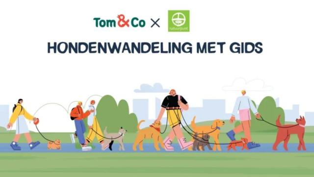 Wandel op zondag 2 april mee in Mol met Tom-en-Co en Natuurpunt