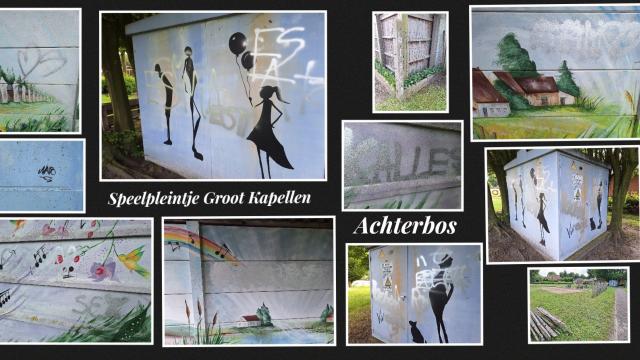 Vandalen bekladden mooie muurschilderingen in Achterbos
