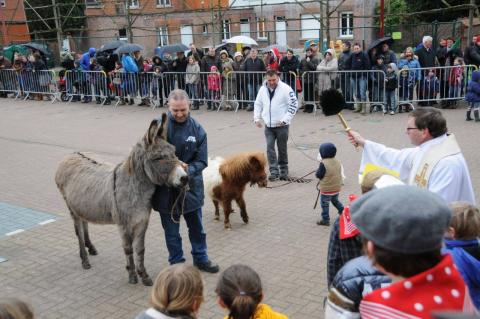 Toontje in Geel-Bel erkend als cultureel immaterieel erfgoed