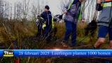 Molse schoolkinderen planten 1000 bomen